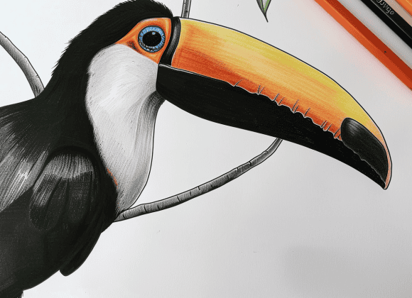 milkychoco04_a_coloured_pencil_that_is_next_to_a_toucan_colouri_1bfba792-1a16-4ab8-b3c5-f342de31664a