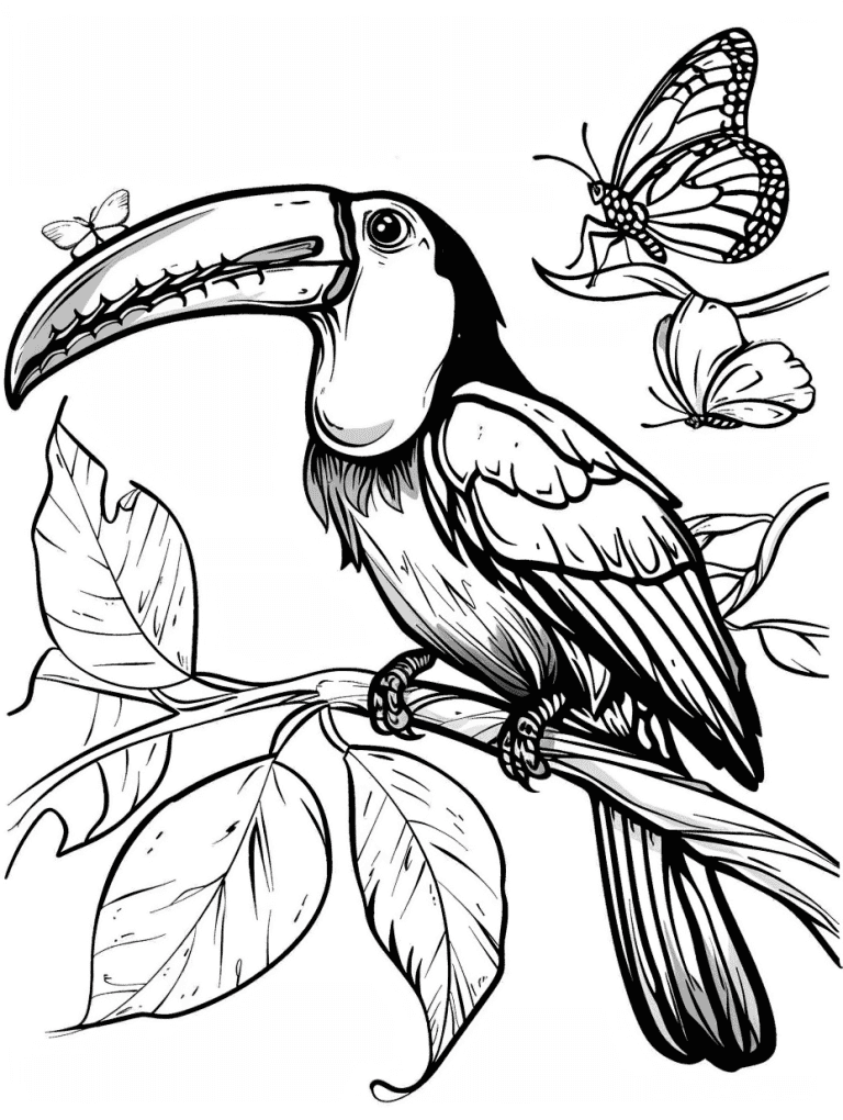 Toucan With A Butterfly