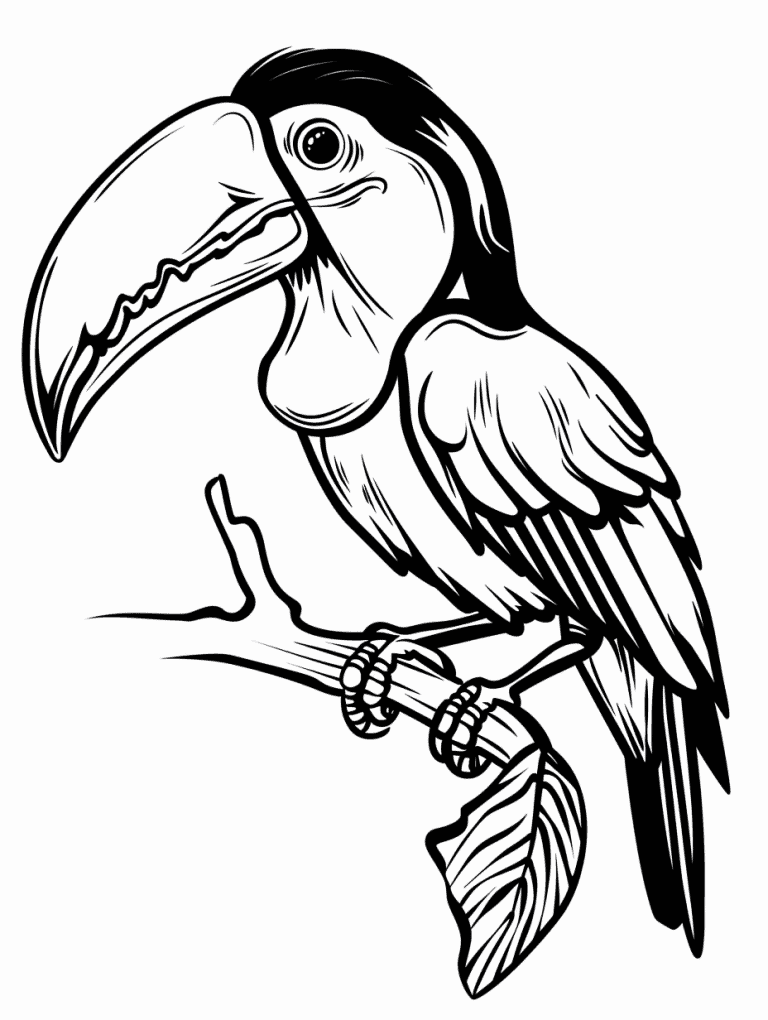 Toucan Perched On A Branch