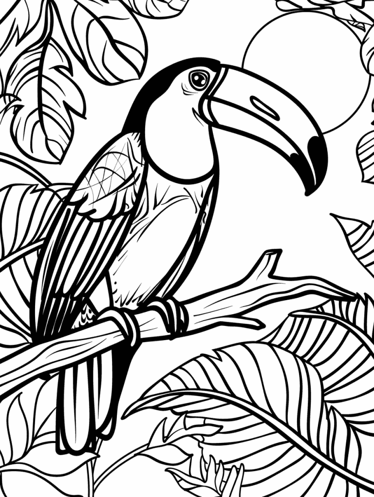 Toucan With A Sunset Background