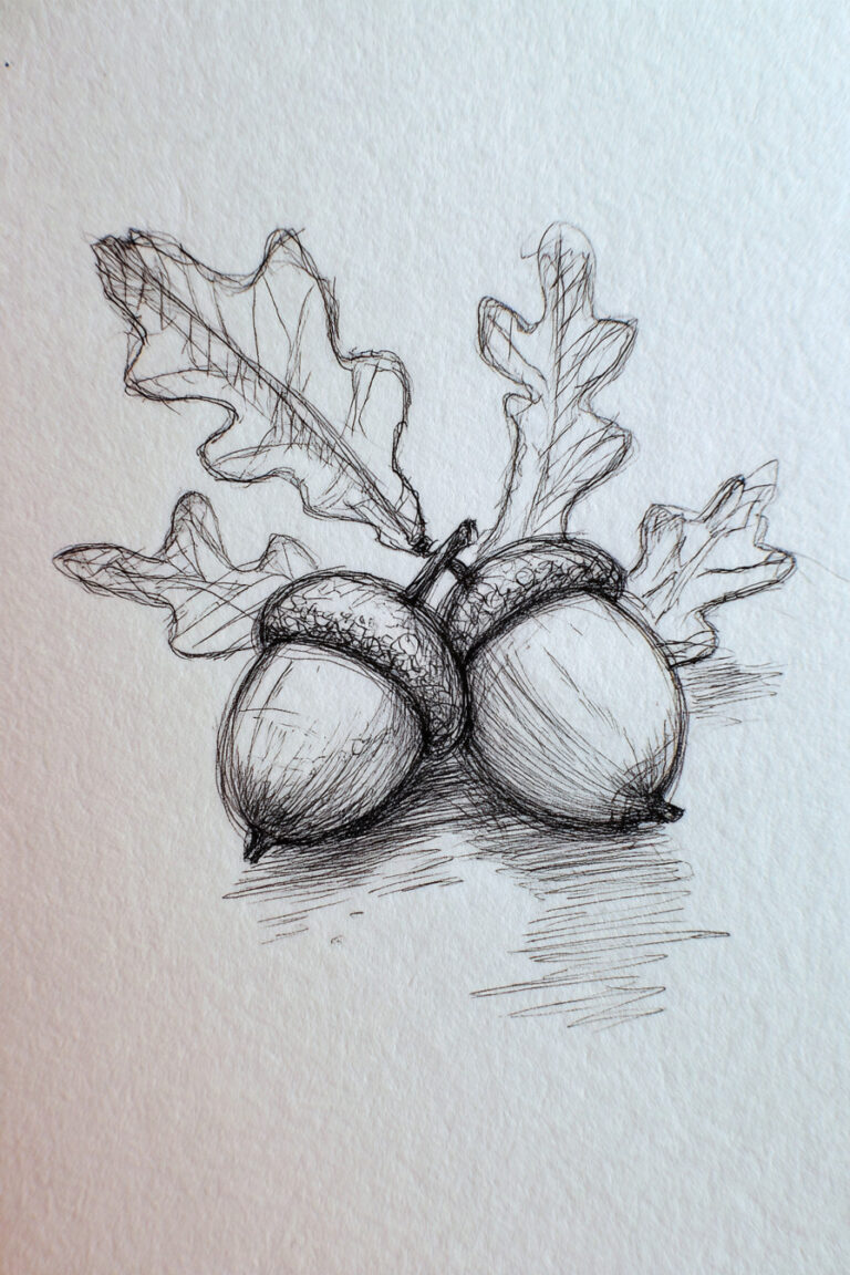 Acorns