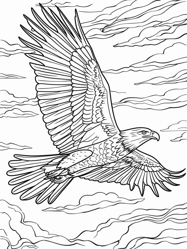 Eagle Soaring Through A Sunset