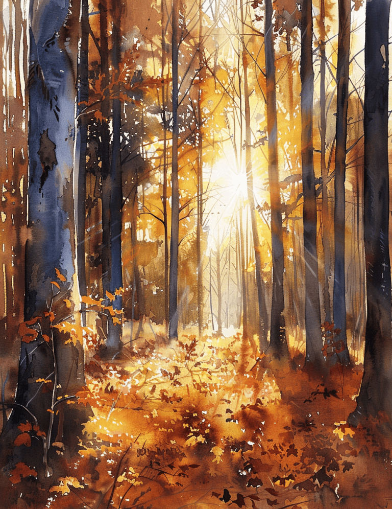 Sunlit Clearing In The Forest