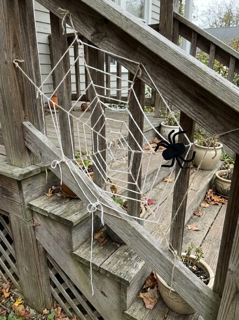 Spider Web