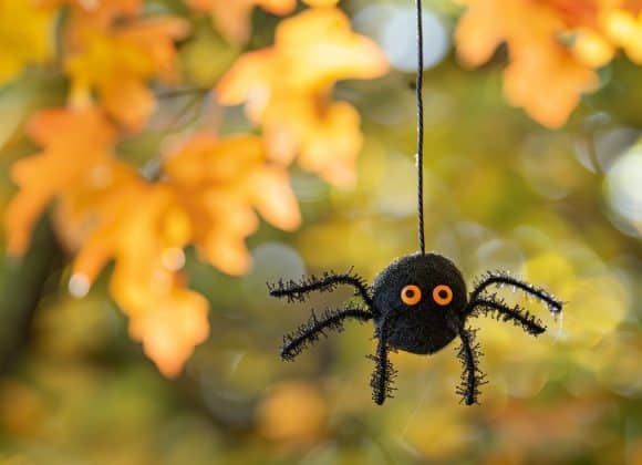 emthehuman1_Pinterest_photograph_of_a_DIY_hanging_spider_made_w_45c1d30a-34ba-4e37-acbb-b60f5862ed30