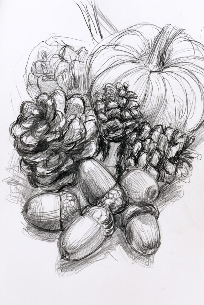 Acorns And Pinecones