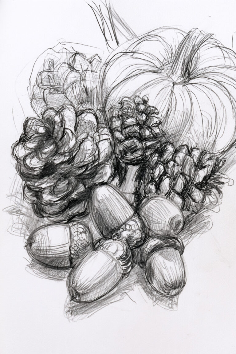 Acorns And Pinecons