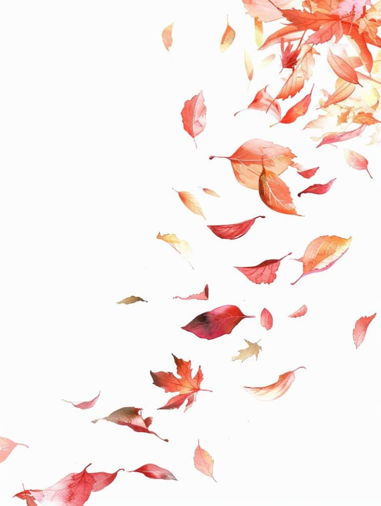 Falling Leaves