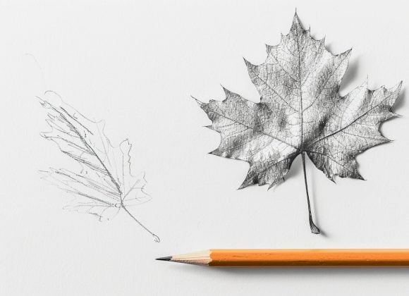 emthehuman1_a_pencil_that_is_next_to_an_amateur_pencil_sketch_d_7bac1367-2e0e-45f0-b029-1d0c9c1d8dc6