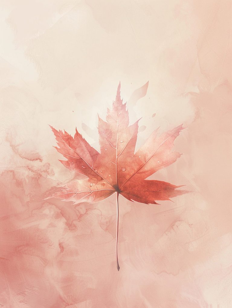 Single Dramatic Maple Leaf