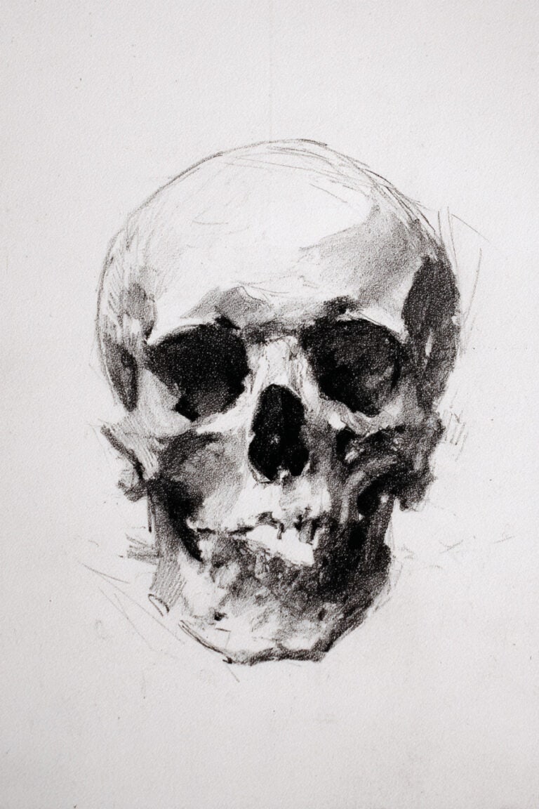 Human skull