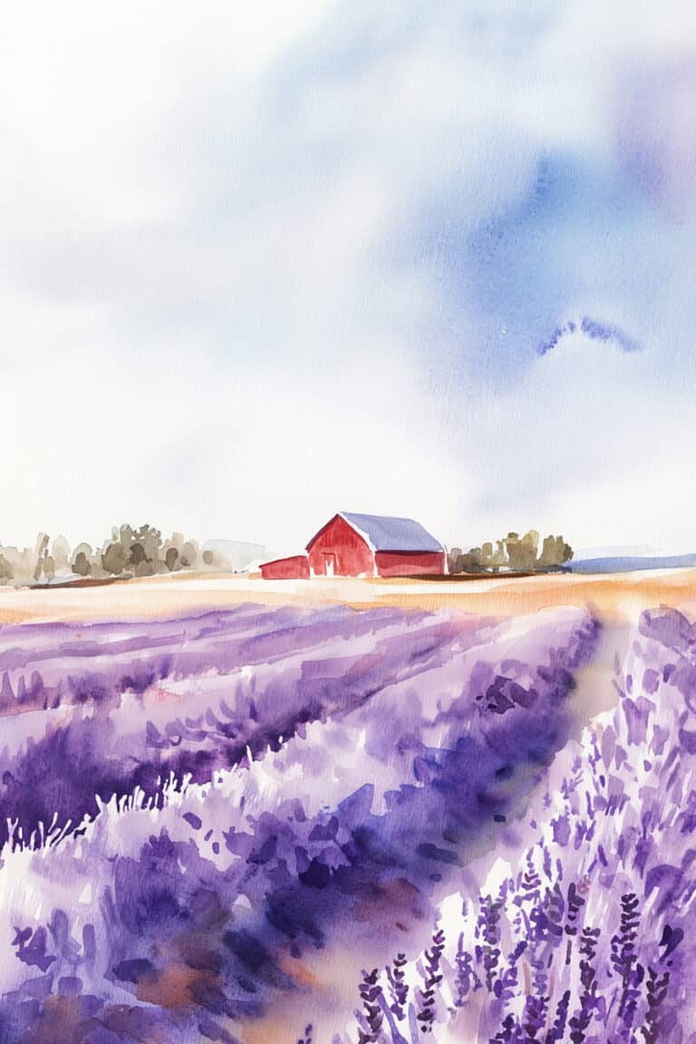 Lavender Fields with a Distant Barn
