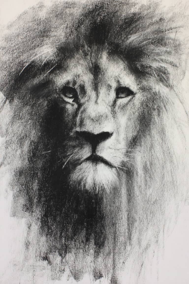 Lion in shadows
