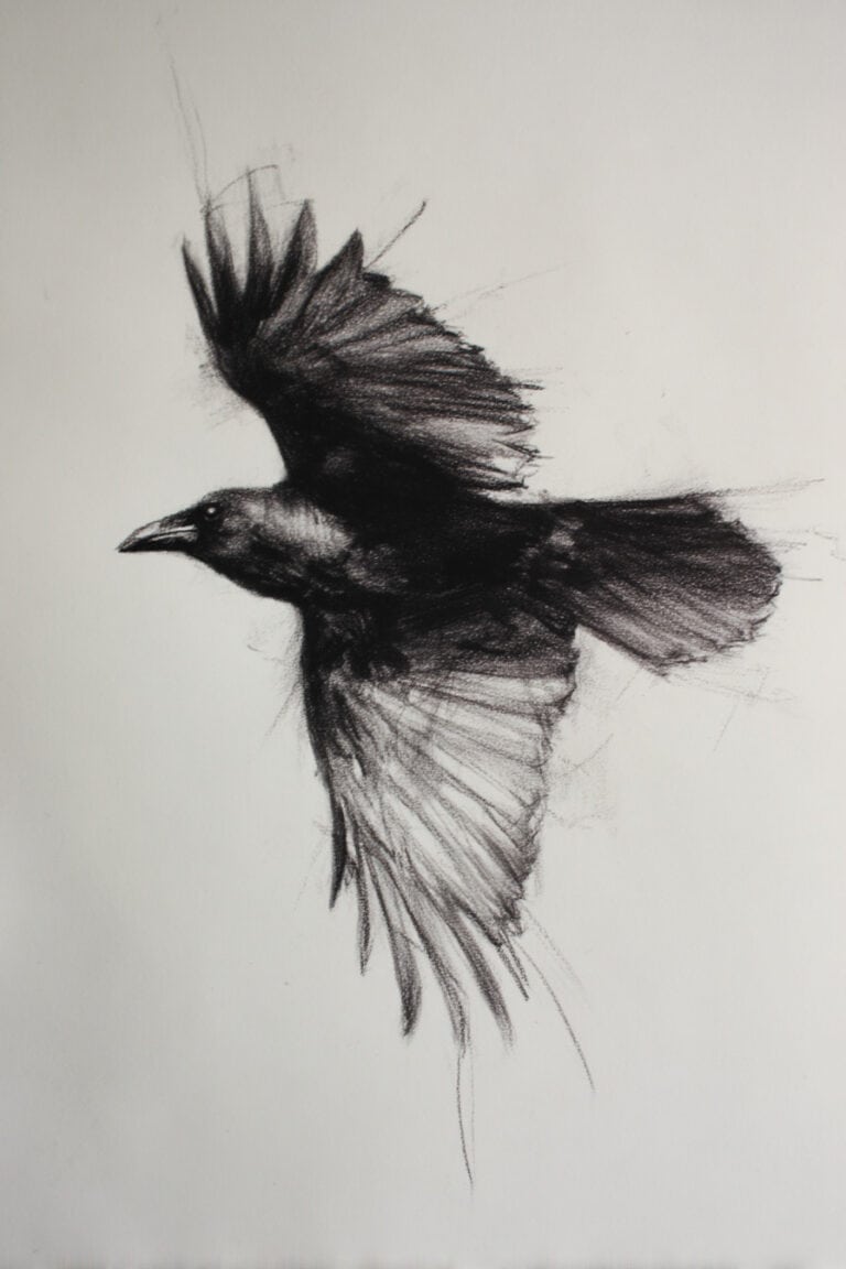 Raven in flight