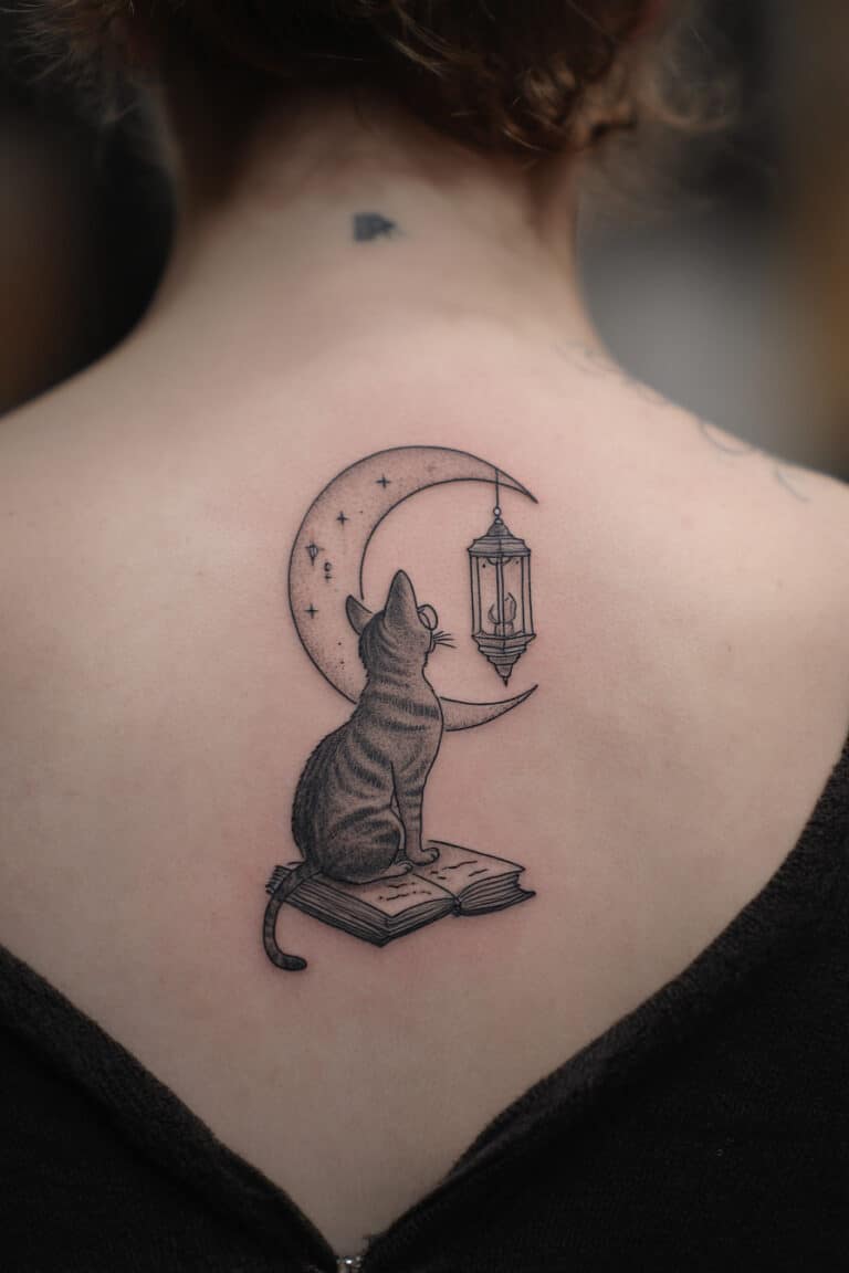 Reading Cat on the Moon