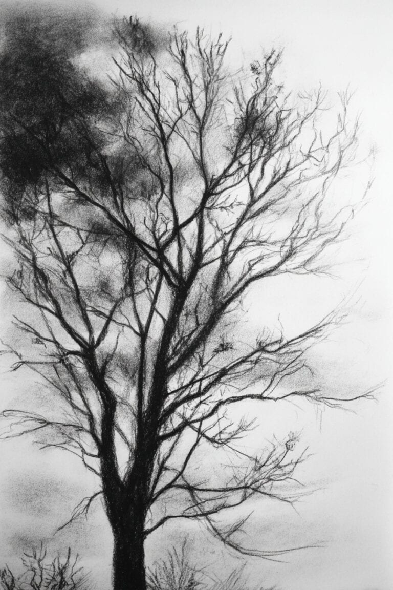 Tree against the sky