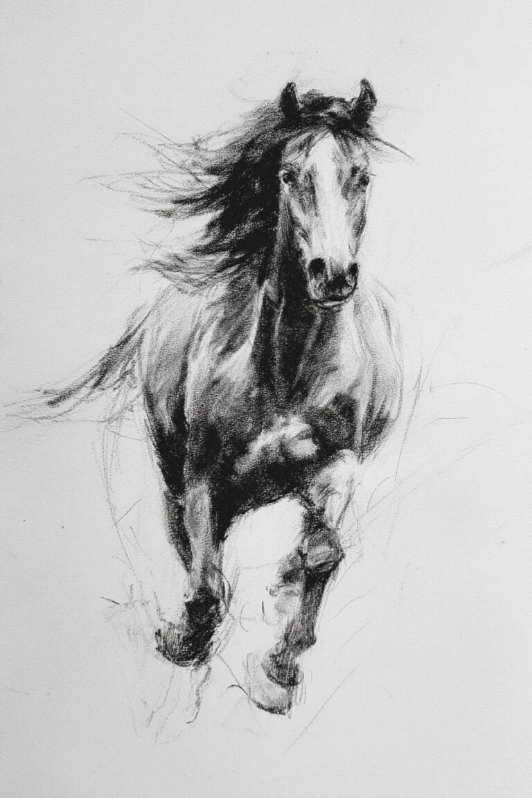 Wild horse galloping