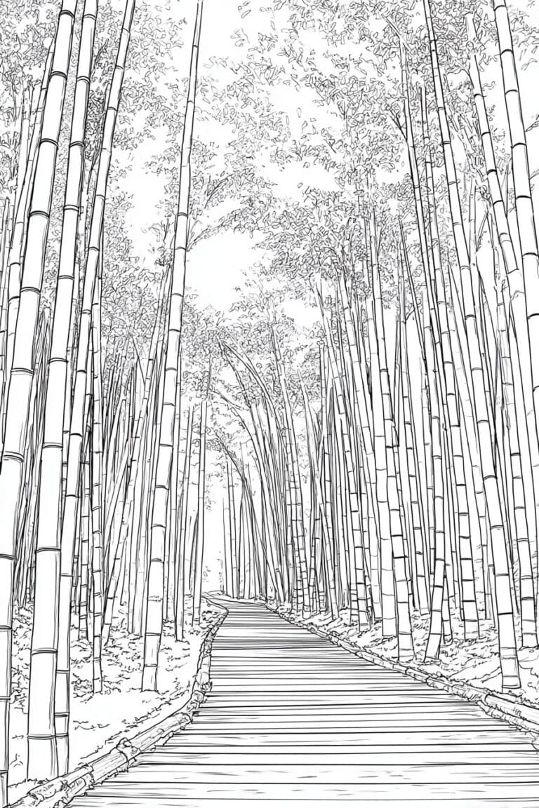 Bamboo Forest Path