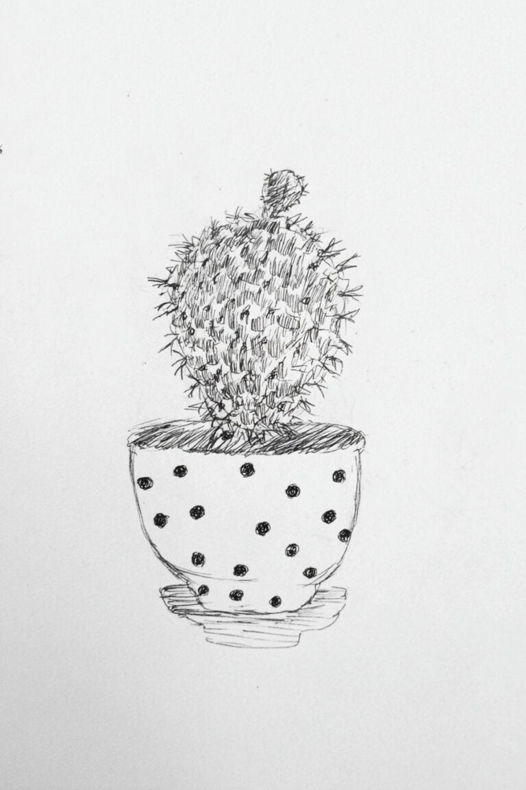 Cactus in a Polka-Dot Pot