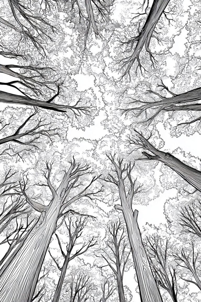 Forest Canopy from Below