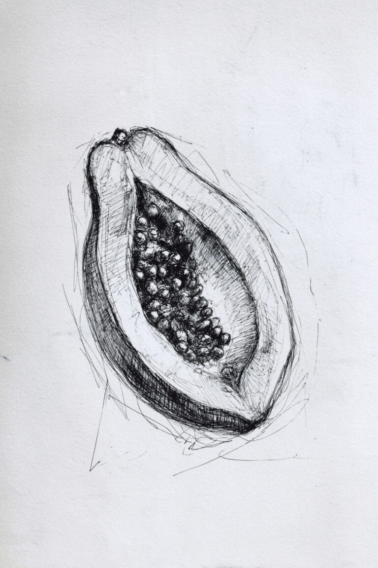Papaya Half with Seeds