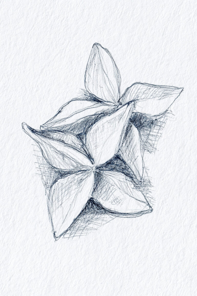 2 Starfruit Slices
