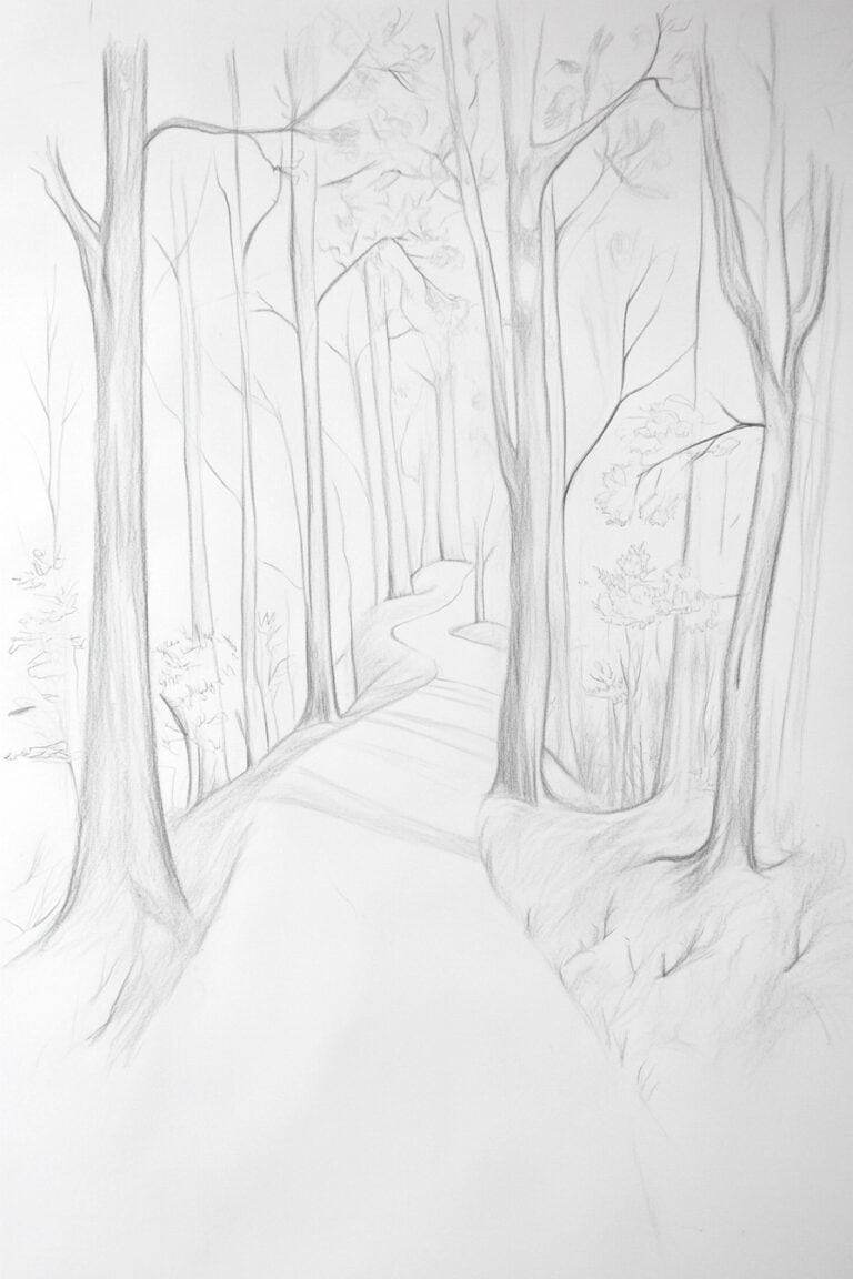 Winding Forest Path