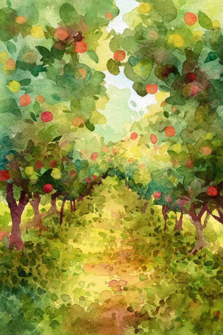 Apple Orchard Pathway