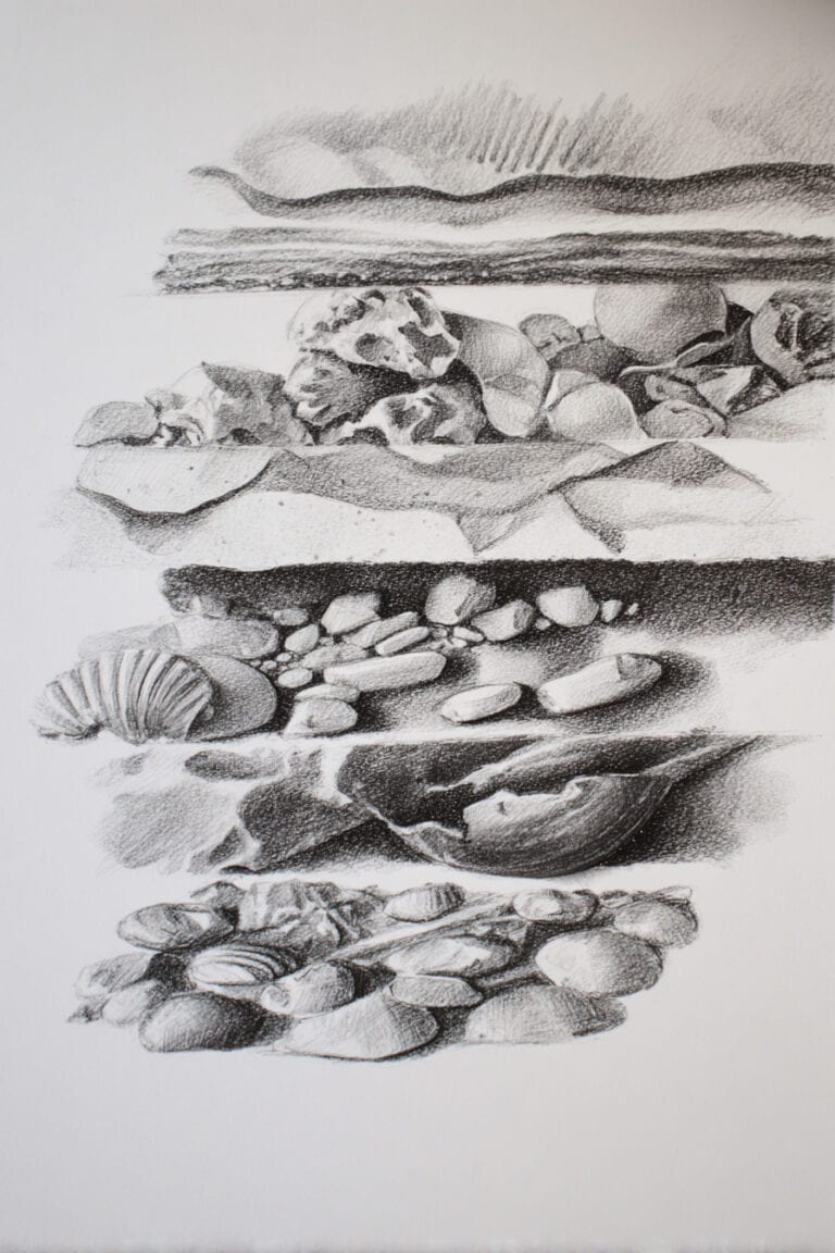Coastal Erosion Study