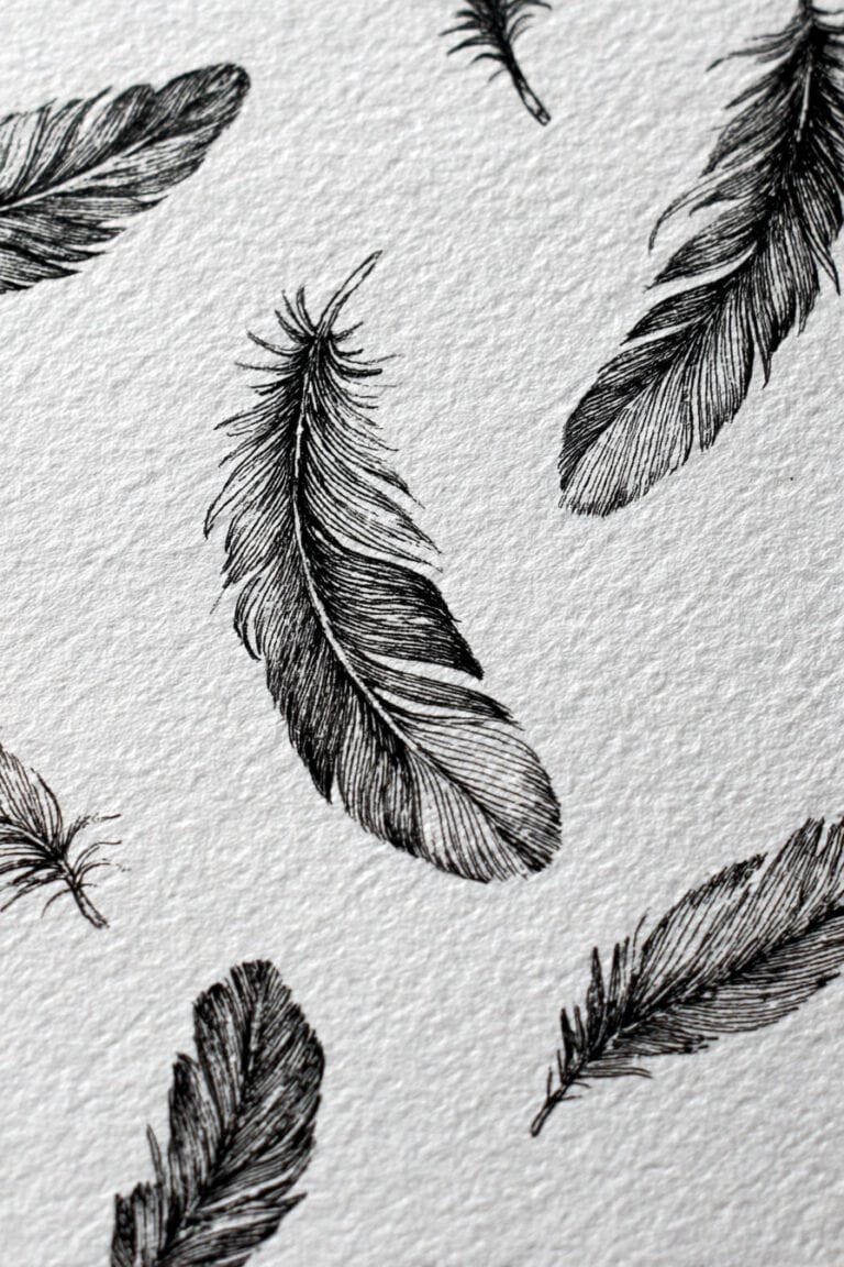 Floating Feathers Study