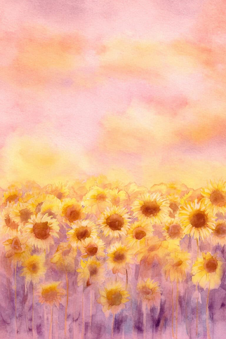 Golden Hour Sunflower Field