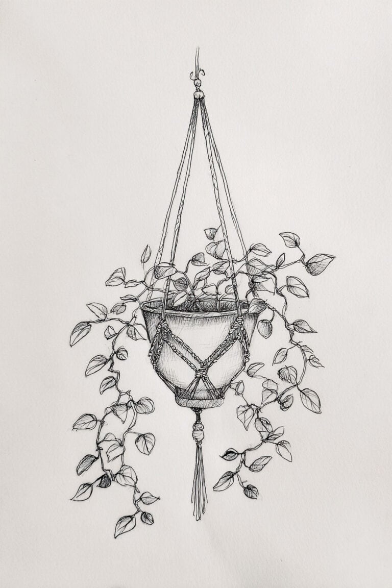 Hanging Macrame Plant Holder
