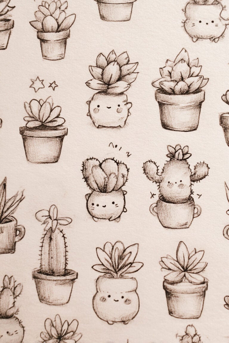Potted Succulent Garden