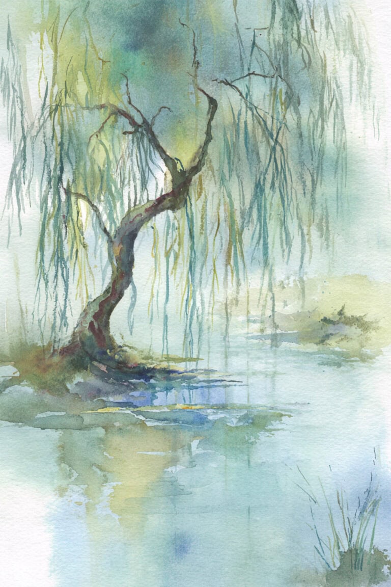 Riverside Willow Tree