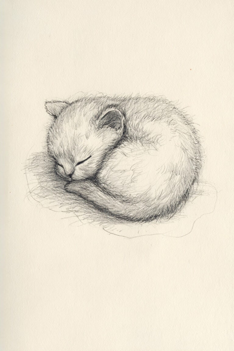 Sleeping Cat