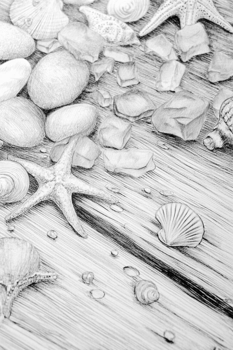 Tidal Pool Treasures