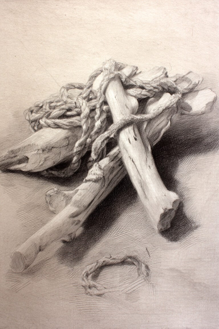 Weathered Driftwood Collection