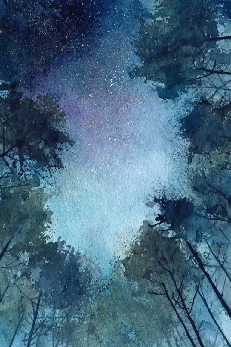 Forest Clearing Night