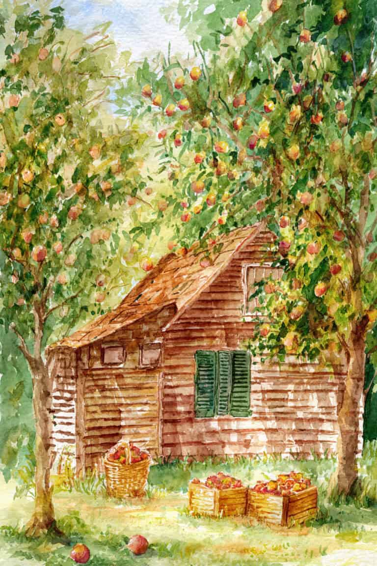 Apple Orchard Homestead
