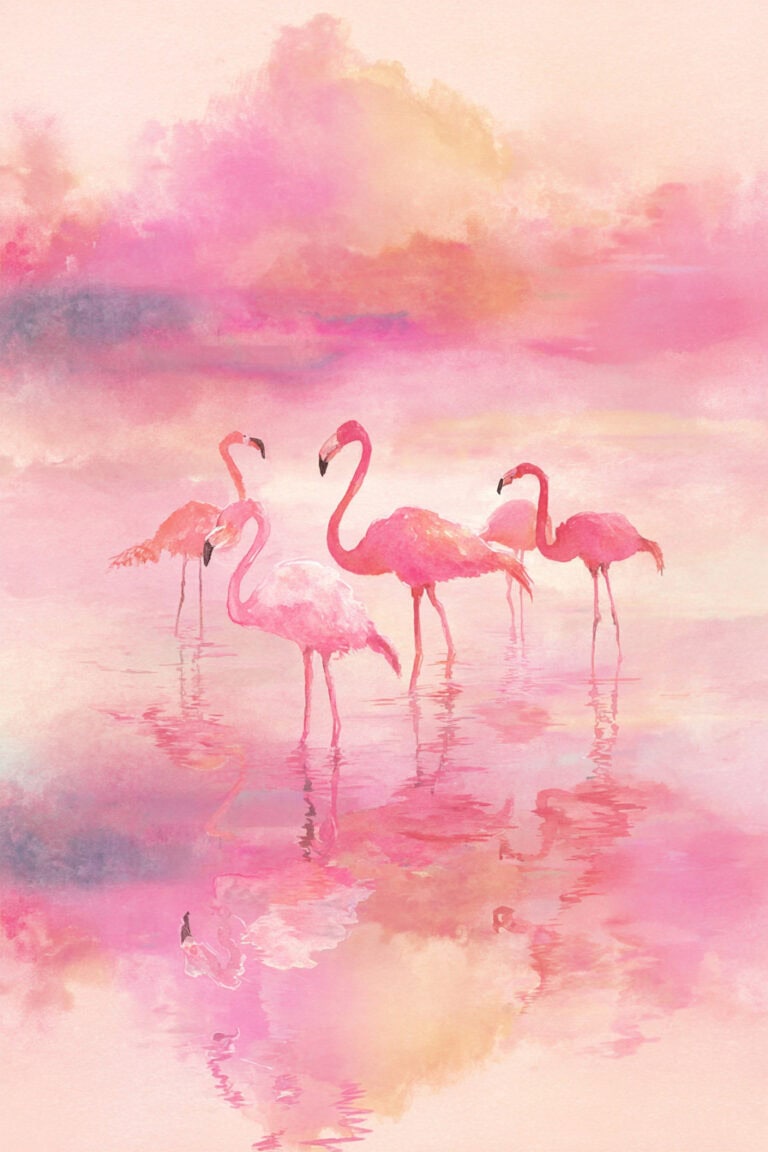 11. Flamingo Sunset Reflection
