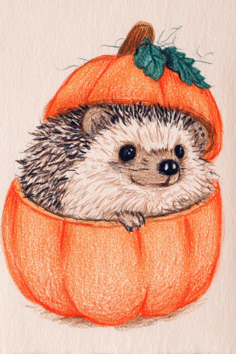 12. Hedgehog with Pumpkin Hat
