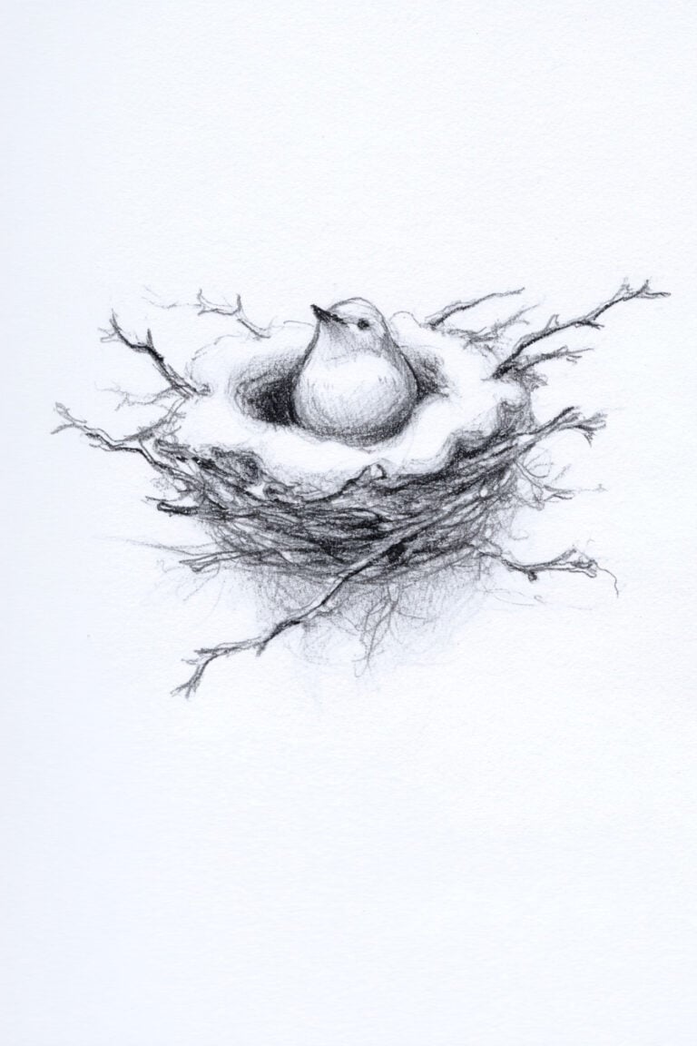 Bird’s Winter Nest