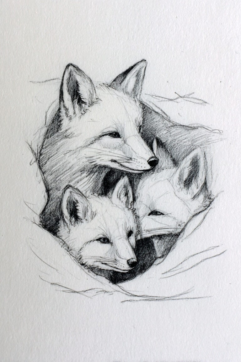 Fox Family Gathering