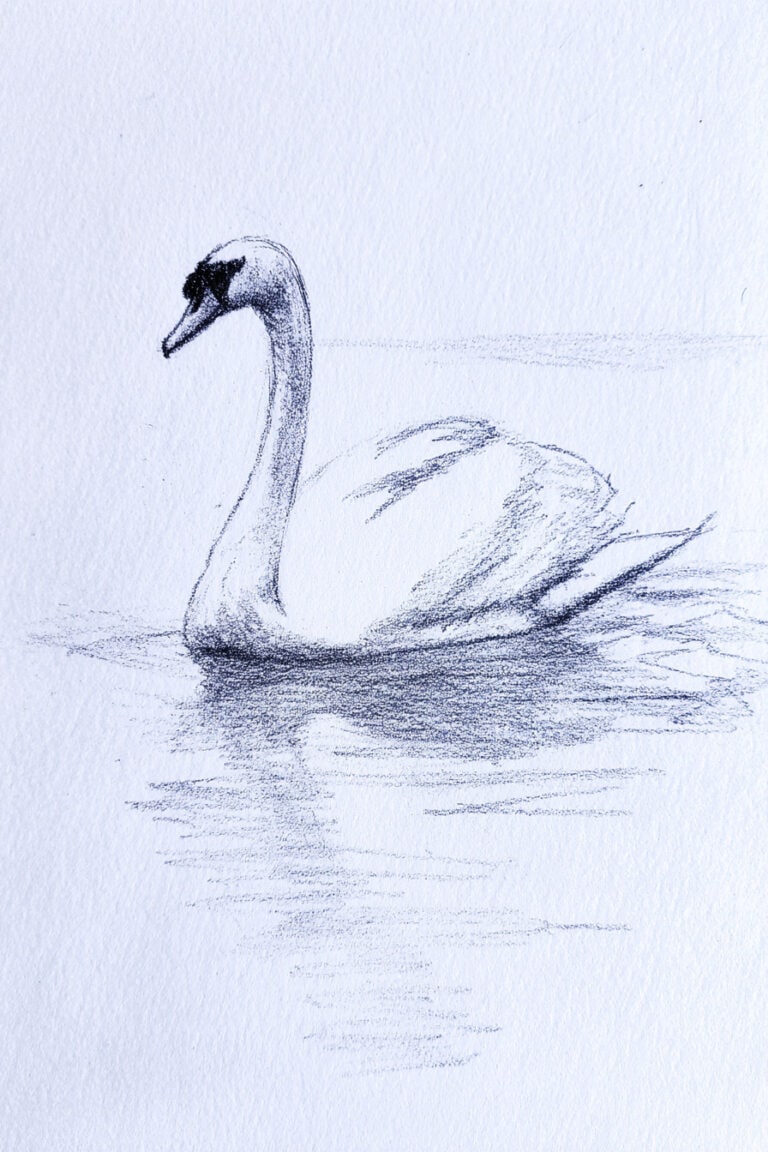 Swan on Icy Lake