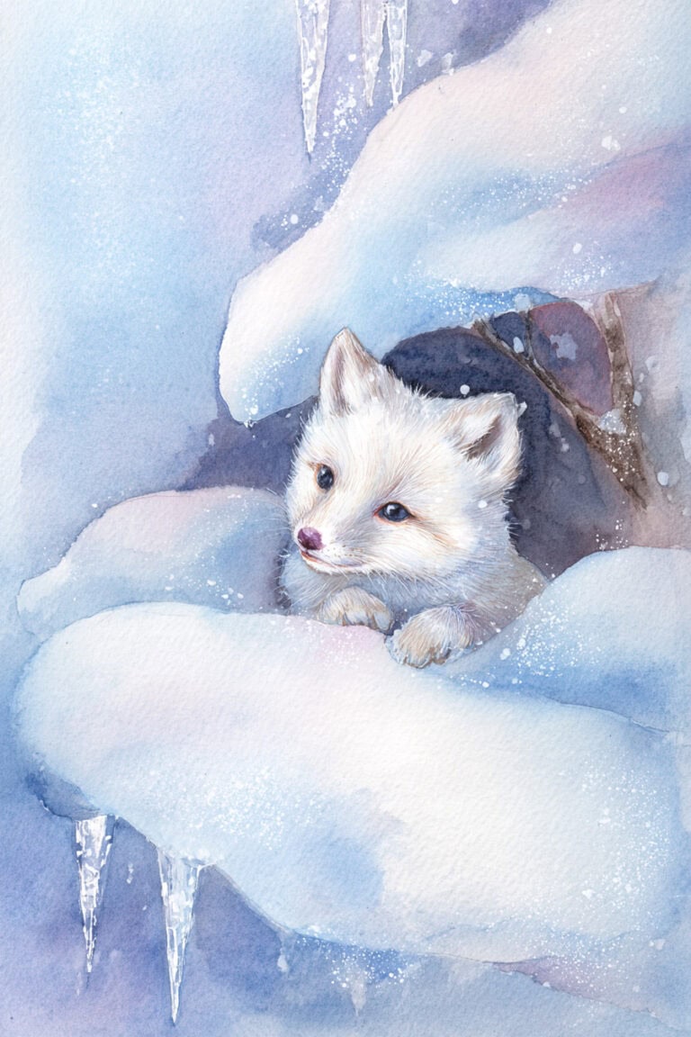 Snow Fox Kit
