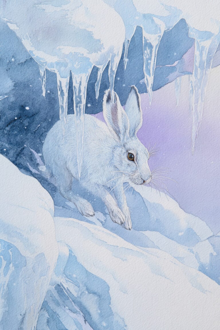 Snow Hare Trickster