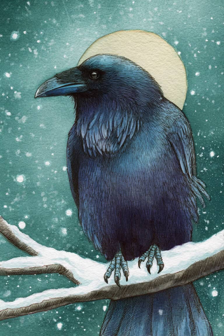 Winter Raven Familiar