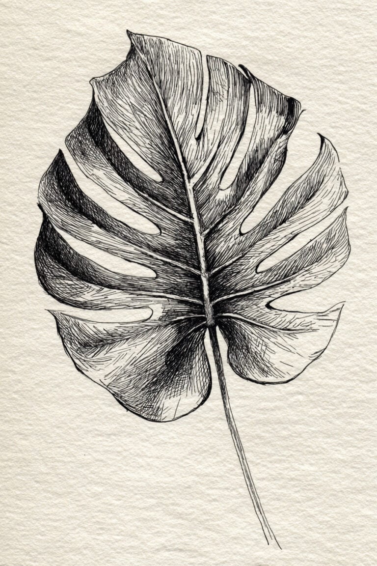 Botanical Leaf Study