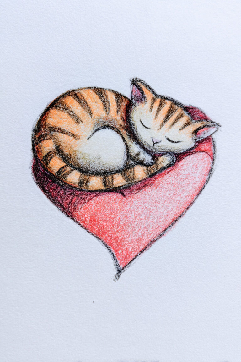 Cat Sleeping on Heart Pillow