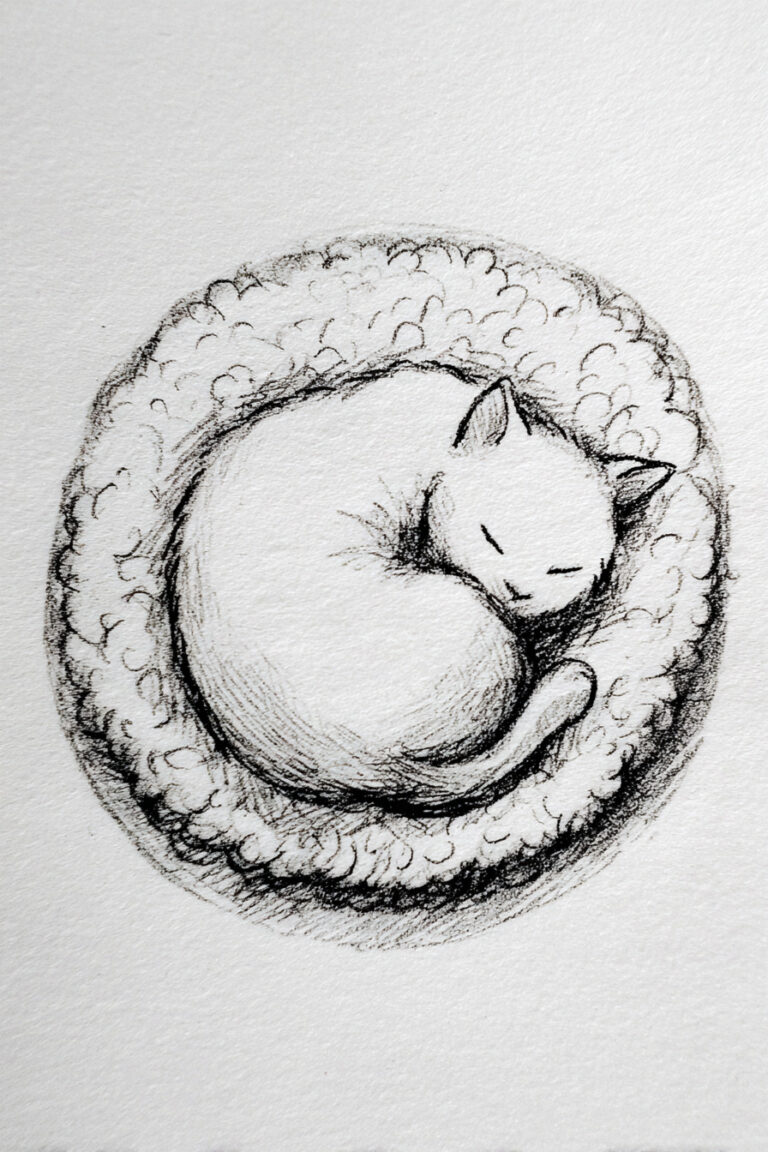 Cat Sleeping on Pillow